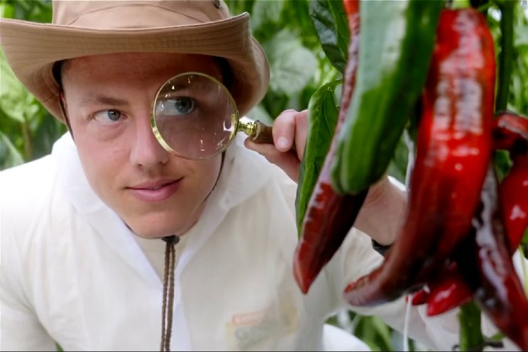 Expeditie Groei Expert