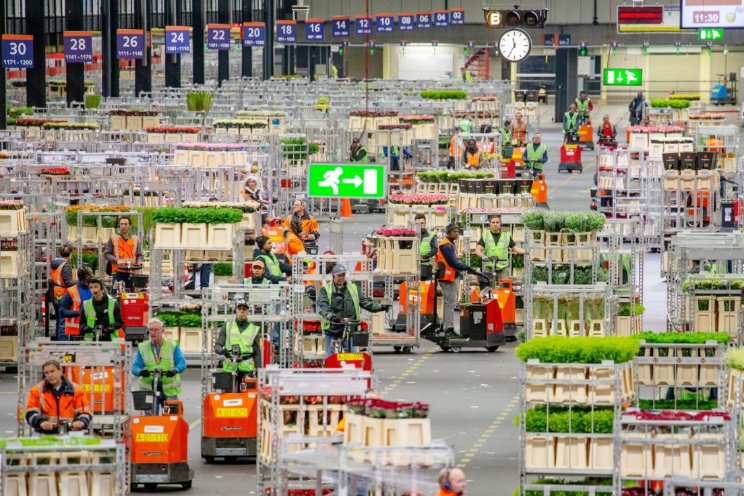 Minder Nederlandse bloemen naar Rusland Minder Nederlandse bloemen naar Rusland