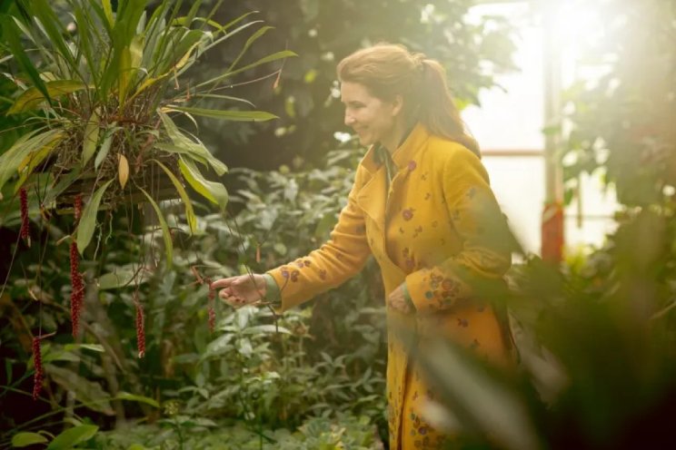 'Bloemen en planten geen nutteloze wegwerpitems' 'Bloemen en planten geen nutteloze wegwerpitems'