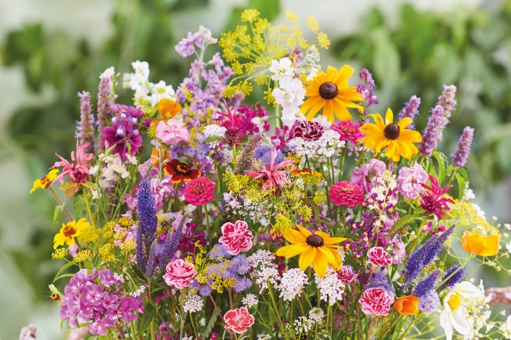 Nieuw: Bloomboost Nieuw: Bloomboost