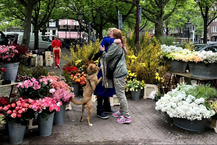 Troostrijke bloemen op de dag na Moederdag