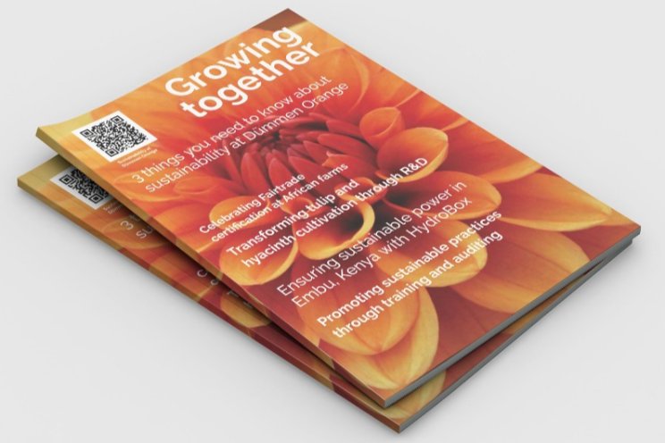 Dümmen Orange beschrijft duurzame inspanningen Dümmen Orange beschrijft duurzame inspanningen