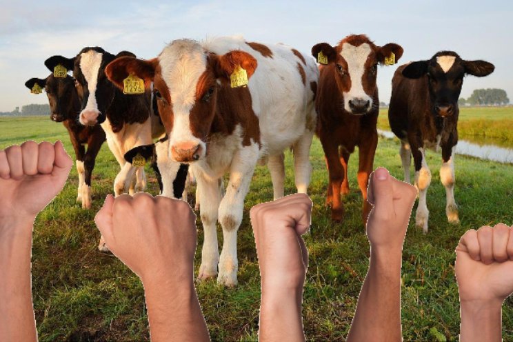 'Klimaat vs boeren is achterhaalde tegenstelling' 'Klimaat vs boeren is achterhaalde tegenstelling'
