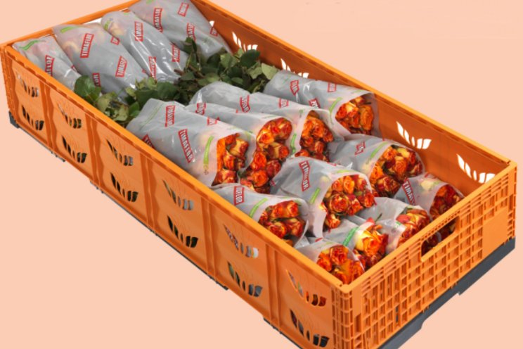 Circular Plastics lanceert circulaire bloemenboxen Circular Plastics lanceert circulaire bloemenboxen
