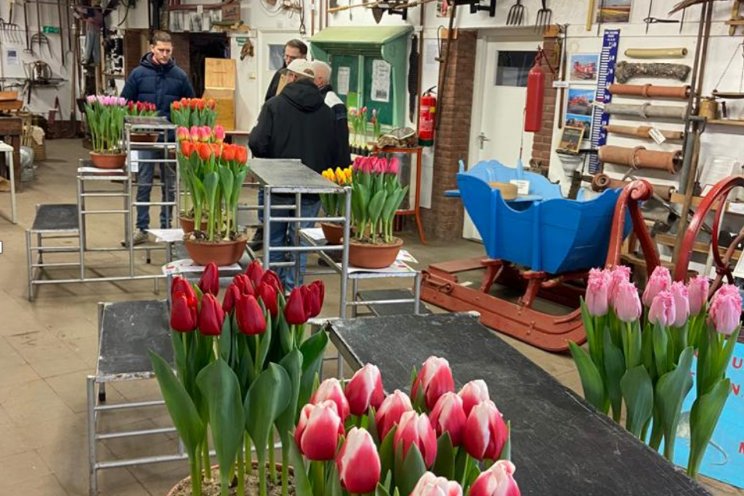 Prima kwaliteit potten maken het keurders lastig Prima kwaliteit potten maken het keurders lastig