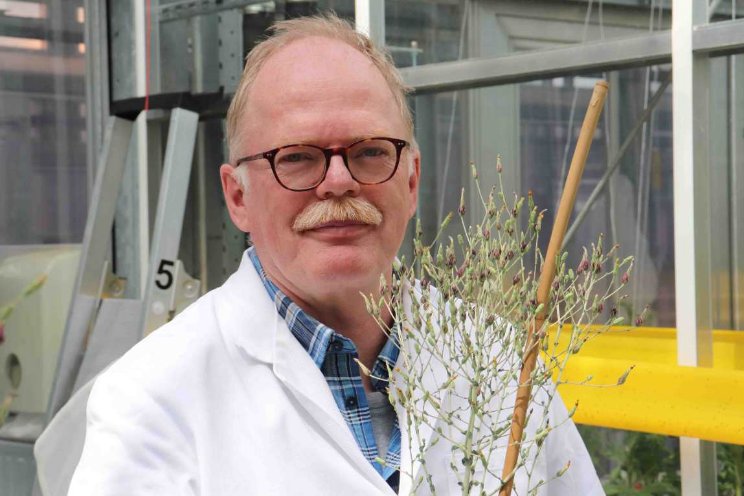 Onderscheiding voor Plantengenetica-expert Onderscheiding voor Plantengenetica-expert