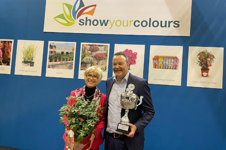 Award voor Rosa Rosy Boom Colour Change Award voor Rosa Rosy Boom Colour Change