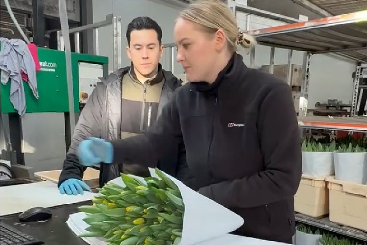 Holex Flower op bezoek bij Borst Bloembollen