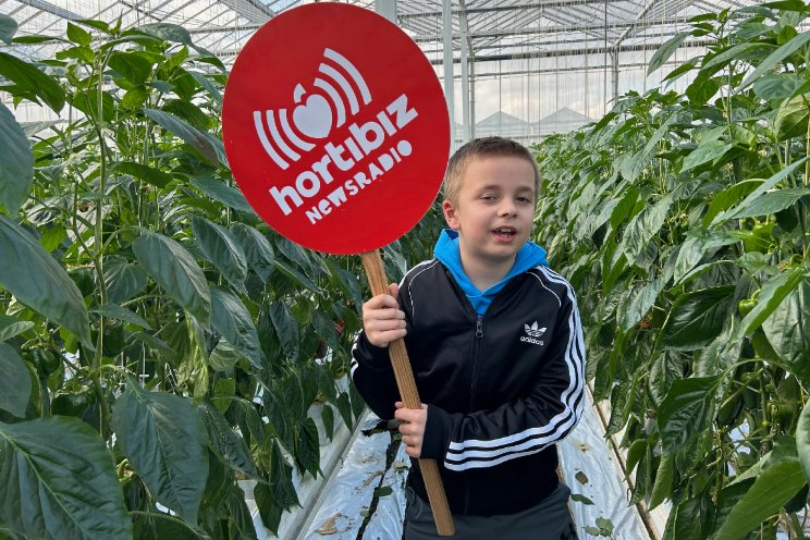 Live radio voor én tijdens Kom in de Kas 2024 Live radio voor én tijdens Kom in de Kas 2024