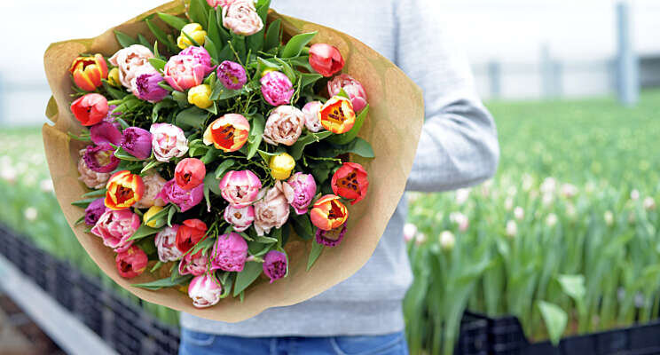 Eerste klimaatneutrale tulpen zijn nu verkrijgbaar Eerste klimaatneutrale tulpen zijn nu verkrijgbaar